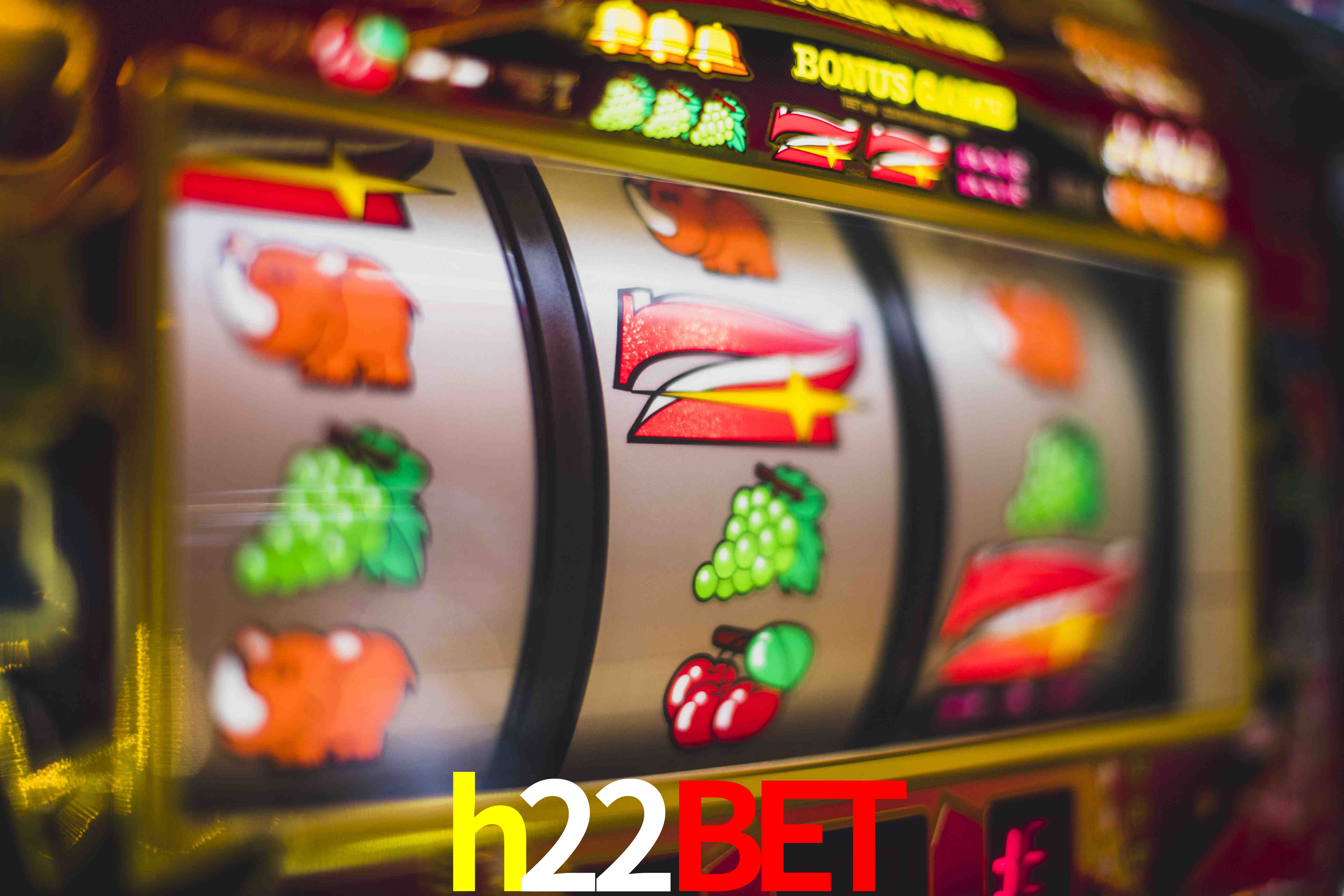 Live Casino h22bet